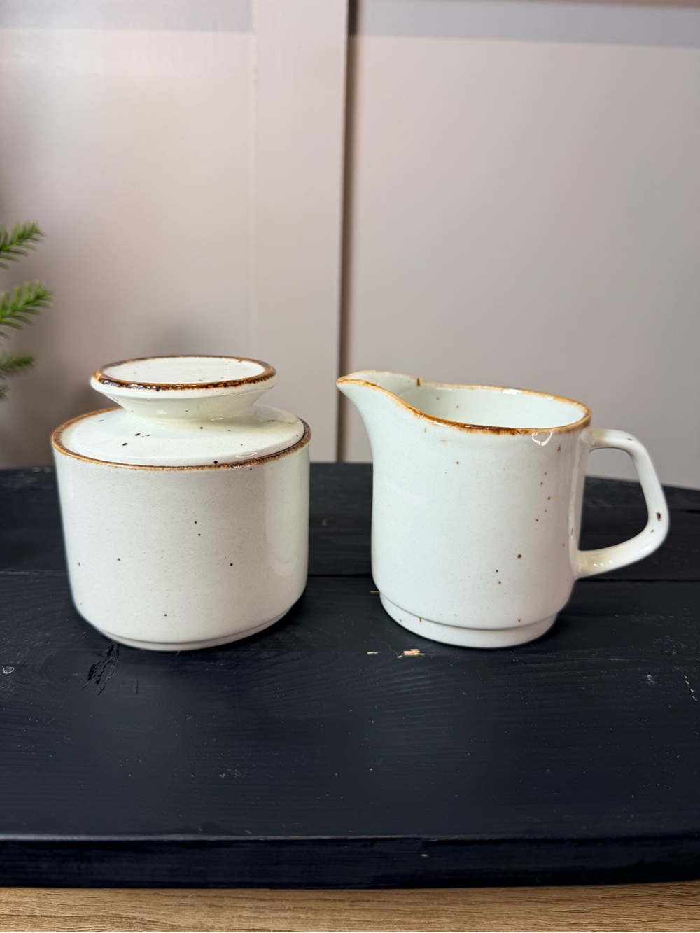 J & G Meakin England LifeStyle Speckled Stoneware Creamer and Sugar Bowl Set